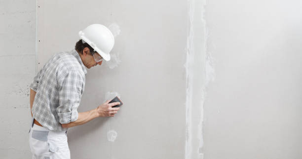 Best Drywall Patching  in Butner, NC